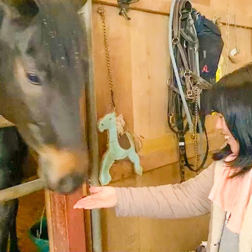 夫婦と猫４匹が、心身の痛み・アンバランスを癒します 体調不良・心のモヤモヤの本当の原因、あなたの体にお尋ねします イメージ10