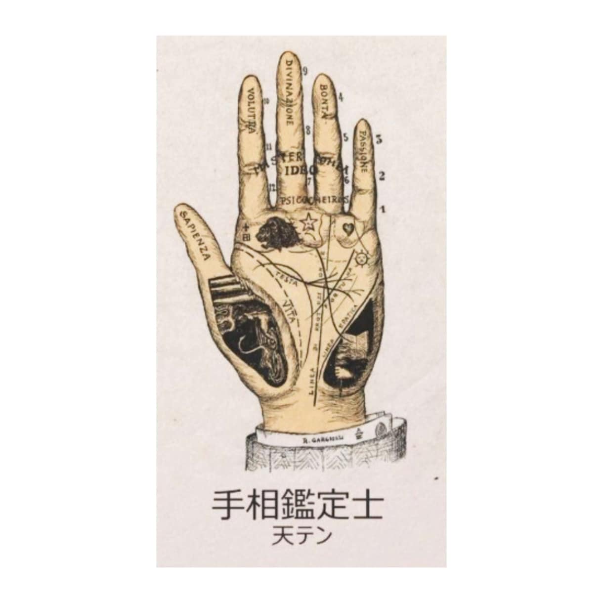 人生の【原因】と【結果】が分かります 両手の手相はあなただけの未来設計図。現在地を知って掴む未来。 イメージ3