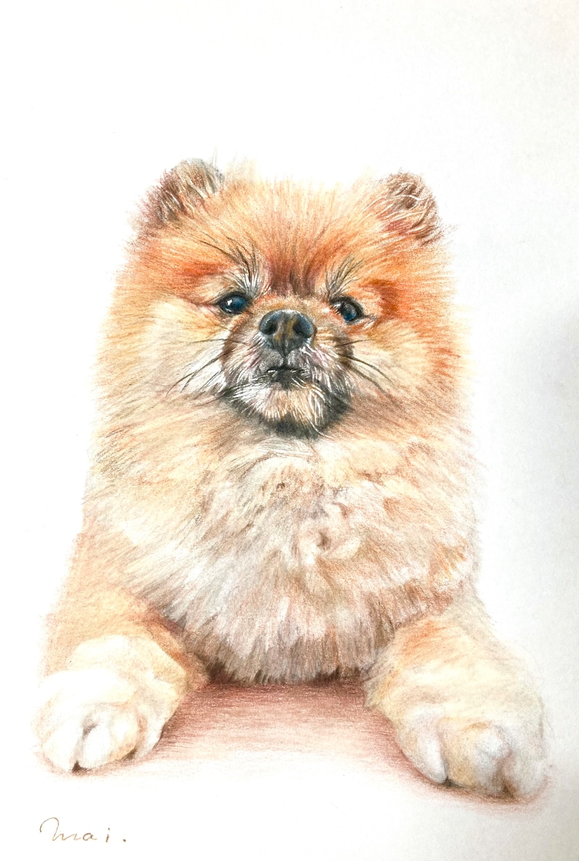 美大卒がペットちゃんの似顔絵お描きします ハイクオリティな色鉛筆画！プレゼントにおすすめ♪【額縁付き】 イメージ7