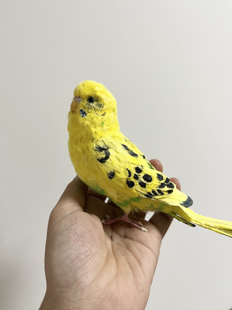 リアルで可愛いペットのインコ人形を作成します 大事なペットちゃんを和紙で可愛く作ります！ イメージ1