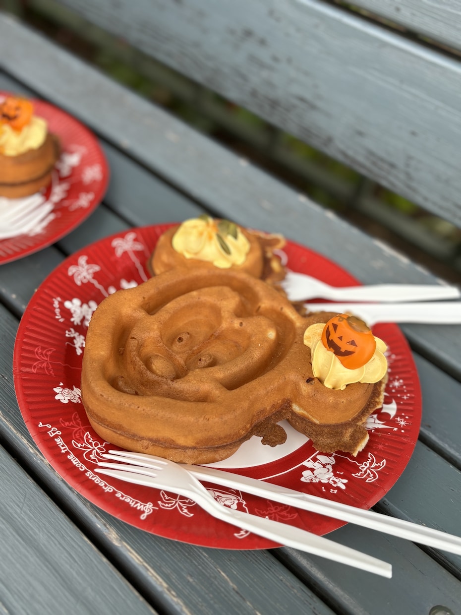 ディズニーパークで楽しむためのプラン作成します おすすめ、または要望に合わせたプランを提案 イメージ2