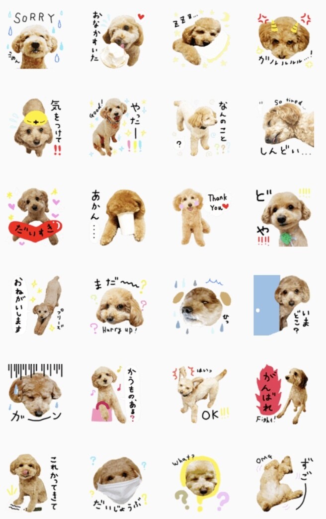 お子様やペット等LINEスタンプつくります 現役グラフィックデザイナー＆アートディレクターがつくる！ イメージ3