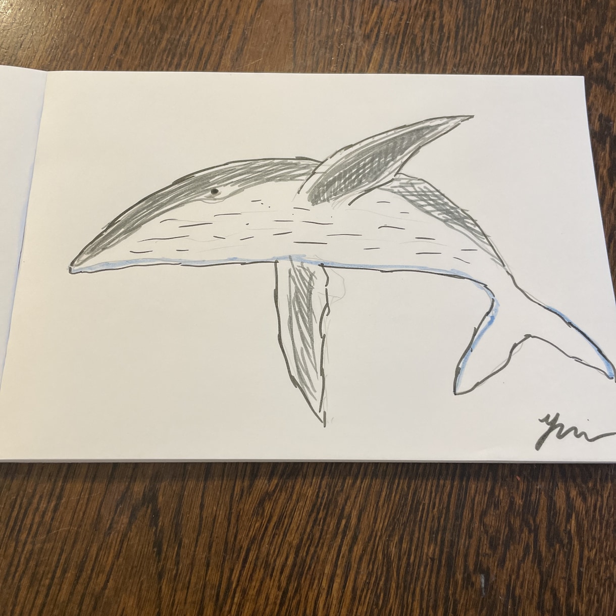 小さいお子様が喜びます クジラの絵　イラスト　ペン　フリーハンド イメージ1