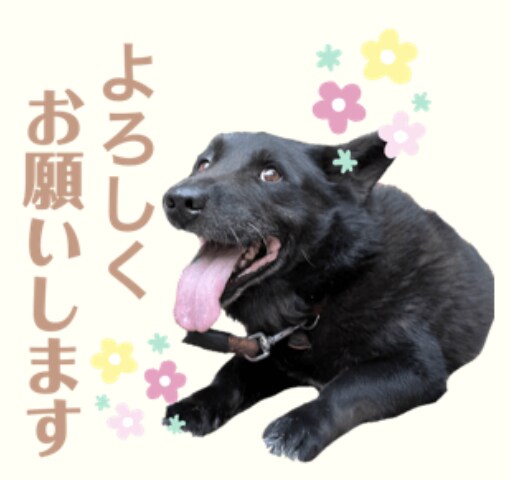 お子さんやペットなどのLINEスタンプ作成します 世界に一つだけのスタンプをお作りします イメージ4