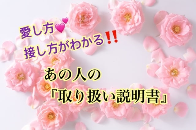 あの人の「取り扱い説明書」を書きます 接し方!愛し方!が解り愛が深まるように(^^) イメージ1