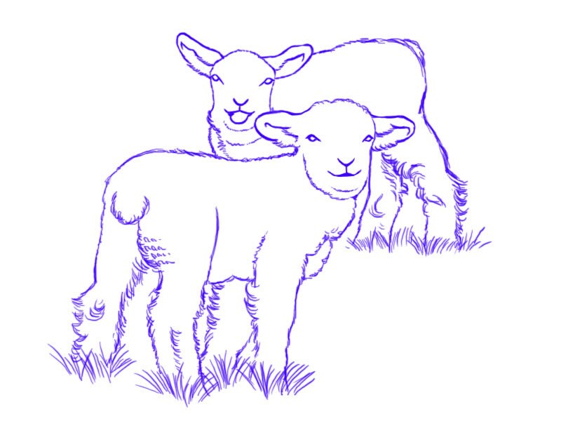 聖書・教会・お葬式・素材などのイラストを描きます 落ち着いた色合い、美しい、可愛い絵を表現致します。 イメージ9