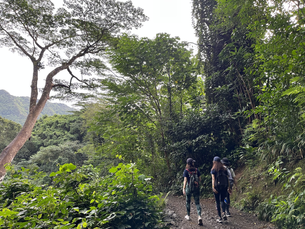 HAWAII旅行の大満足プラン作成します 毎年1回以上、ハワイに行っているので最新情報をお伝えします イメージ4