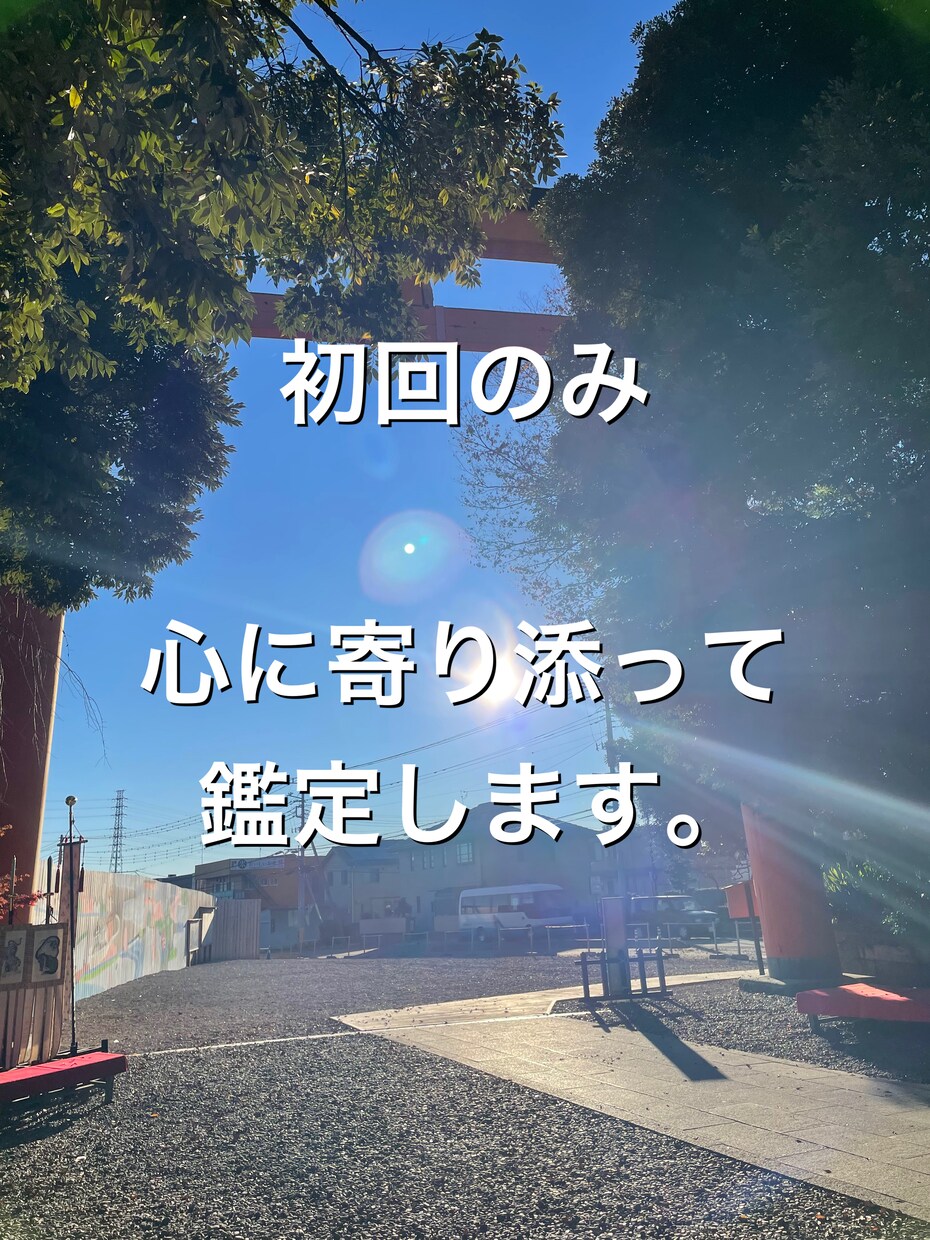 初回限定　恋愛、仕事、金運、人間関係、鑑定します あなたの心に寄り添って鑑定します。 イメージ1