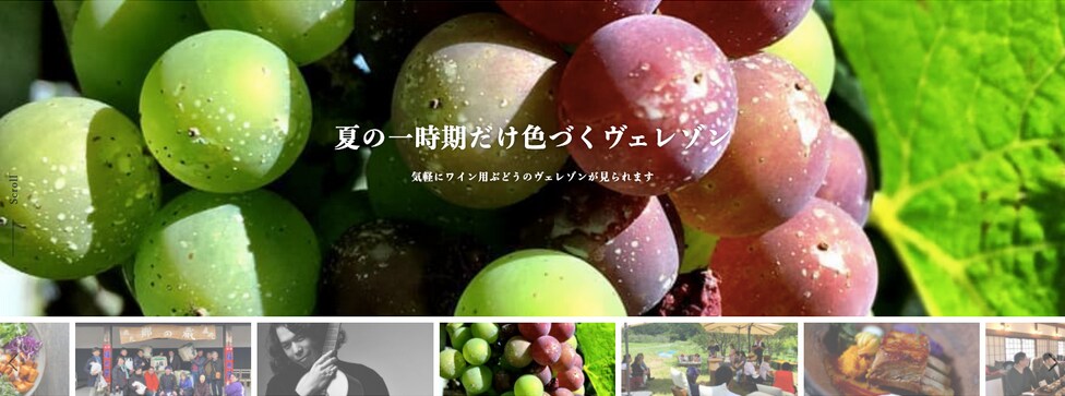 シンプルで上品なWEBサイトつくります 商品やサービスの価値が伝わる上品なWEBサイトを制作。 イメージ3