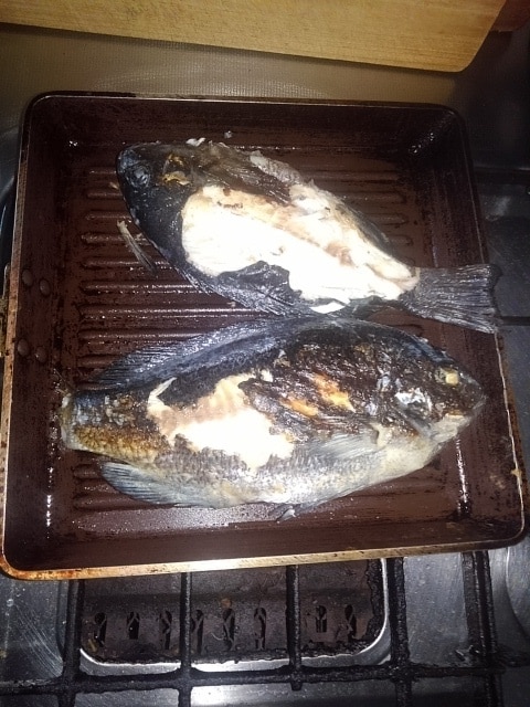 ふかせ釣り初めての方教えます ！何から準備したらいいか分からない、やるなら楽しみたい方向け イメージ5