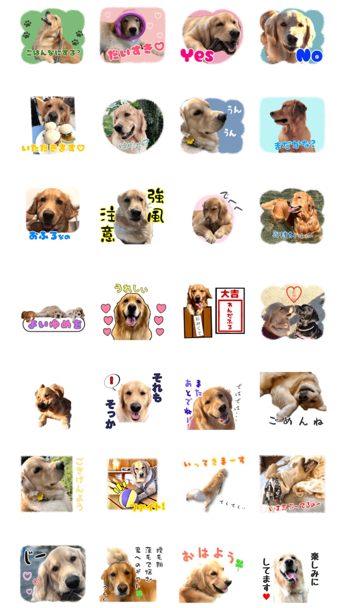 お子様やペットのお写真でLINEスタンプを作ります 思い出の写真を送るだけで世界に一つだけのLINEスタンプに イメージ1