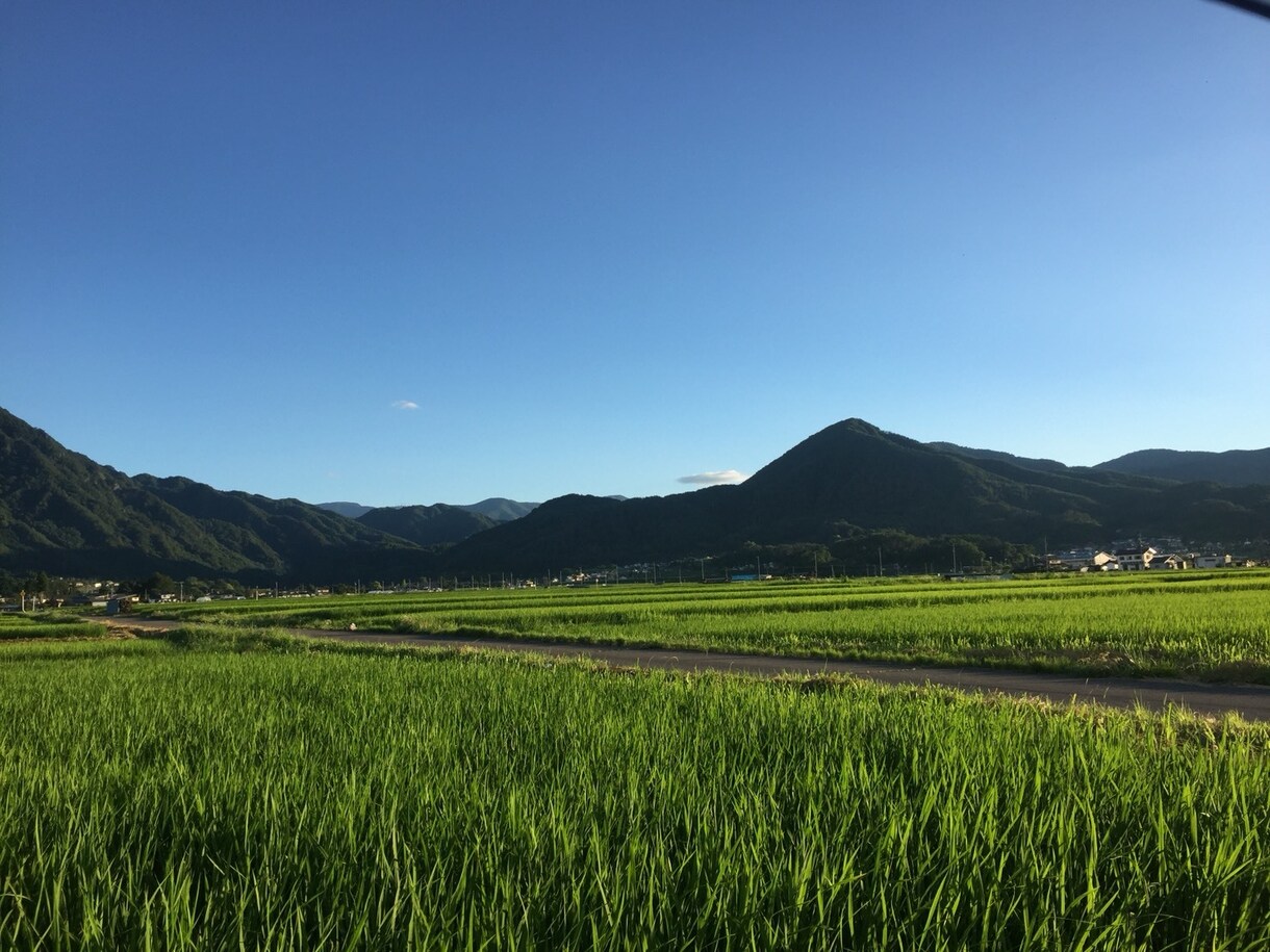 GatekeeperOffceMai開設します 自分の不安を誰にも話せないあなたへ イメージ2