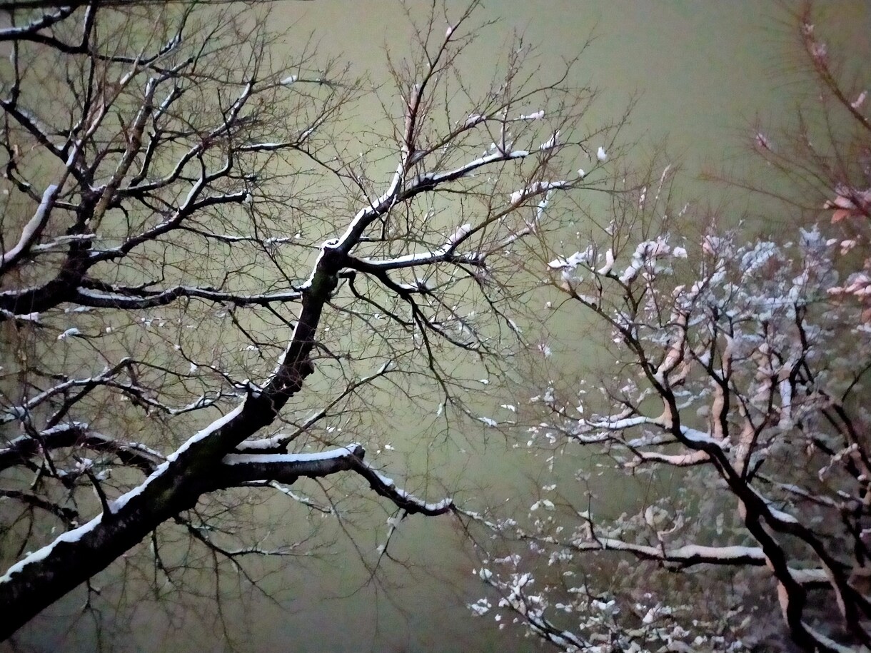 プレゼントをオススメします 一日が最高の日になるような画像を心に刻み思い出を山積みに！ イメージ5