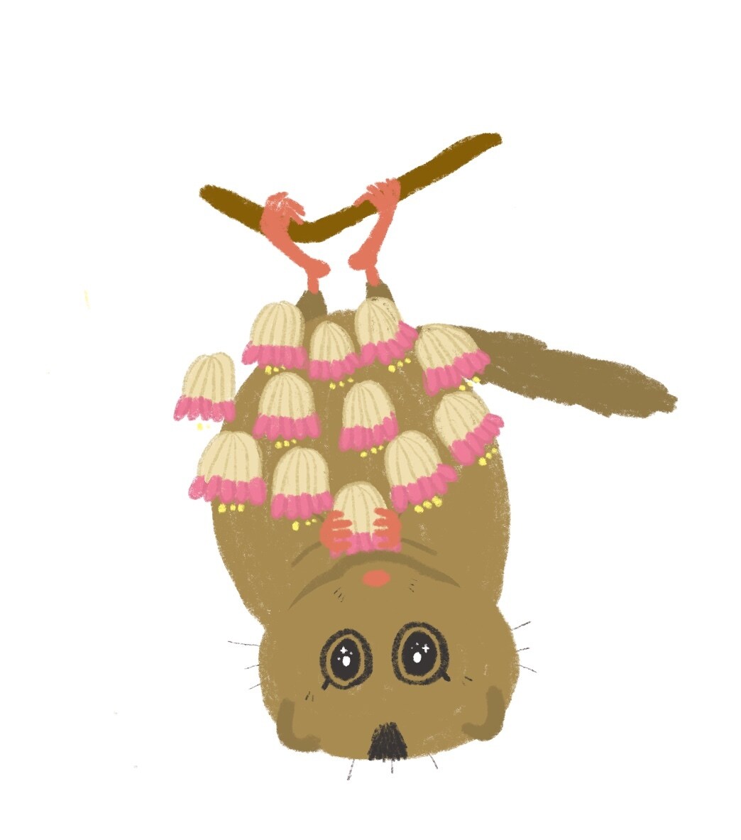 クレヨンタッチで動物のイラストを描きます ゆるっとシンプルに、しっかりと。動物の元研究員が制作します イメージ2