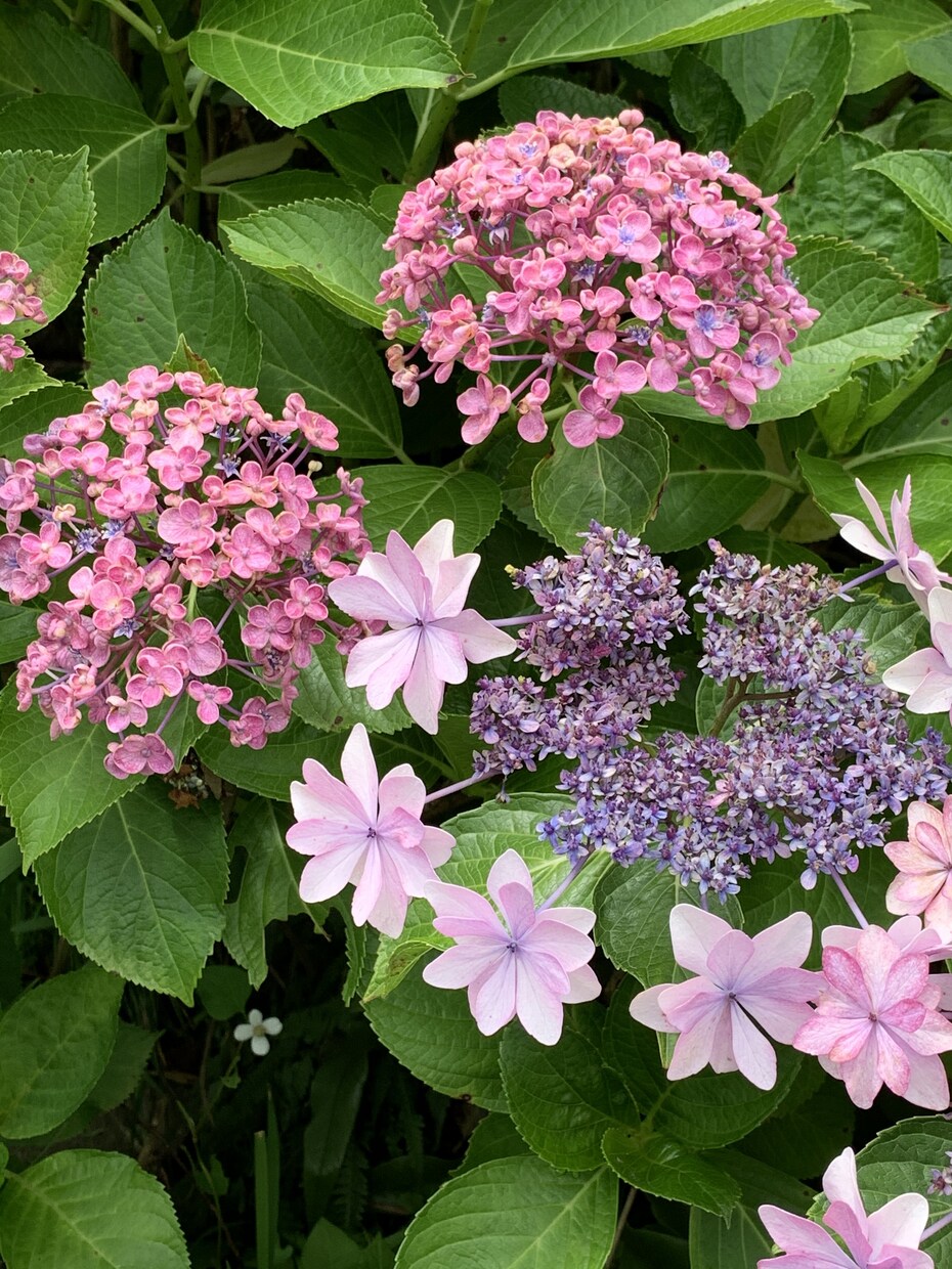 お悩みをお聞きいたします 心の荷物、少し降ろしてみませんか？ イメージ1