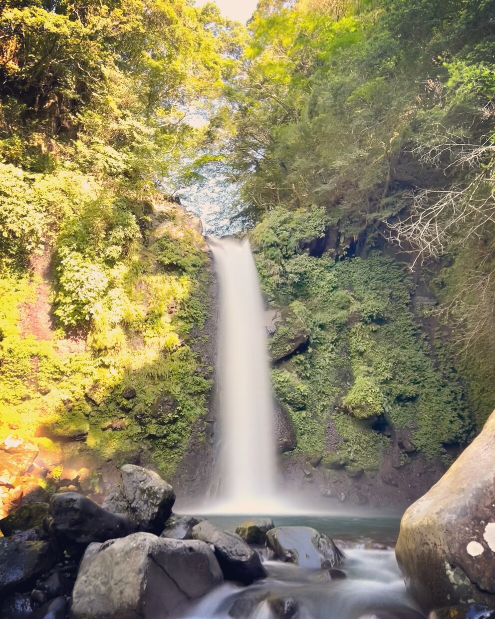 自然がテーマの写真を提供します 壮大な自然の1ピースを提供します。 イメージ3