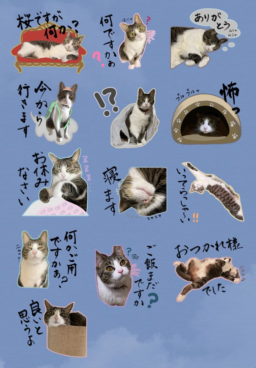 写真素材でLINEスタンプ作成します 自分だけのオリジナルLINEスタンプを作成致します。 イメージ2