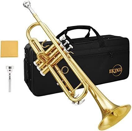 強豪校の吹奏楽の人が金管楽器教えます 金管楽器上手くなりたい人集まれ！ イメージ1