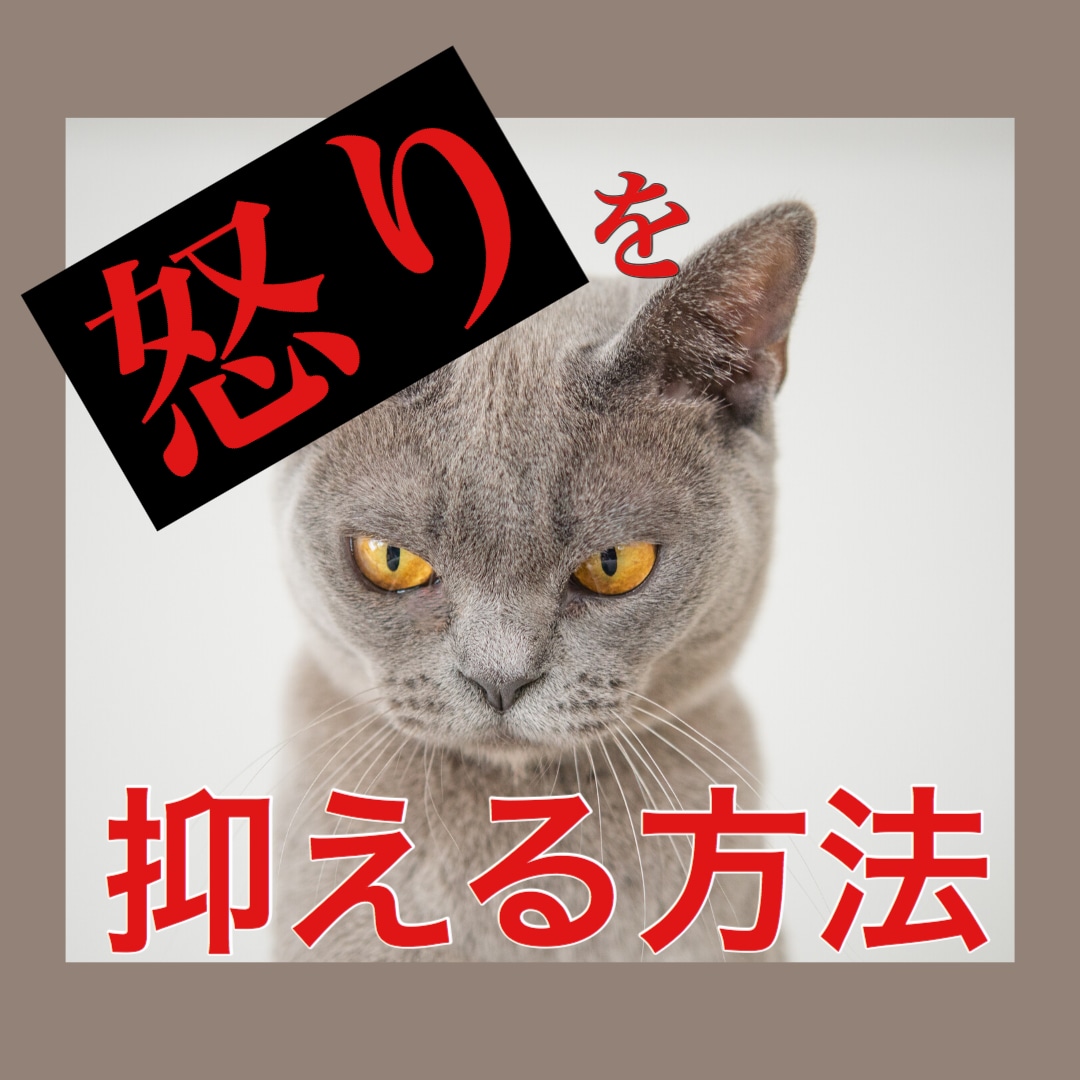 この怒り何とかして!!と思ったら読む本 - 健康・医学