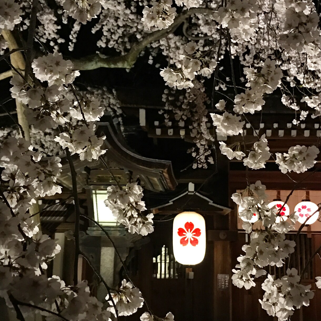 あなたの京都旅行のプラン作りをお手伝いします 京都旅行が初めての方&お久しぶりの方向け イメージ4
