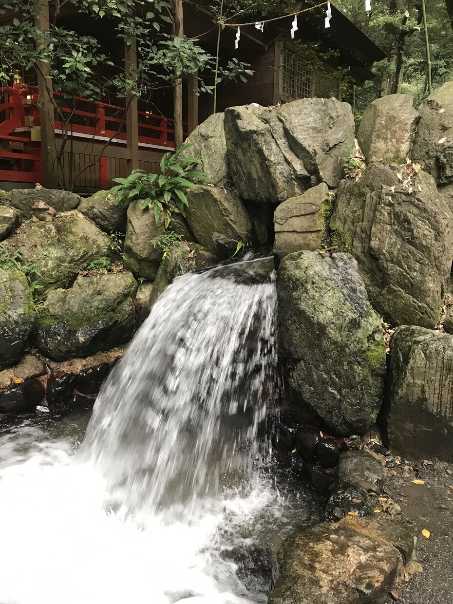 諦めたくない！熱意をとことん聞きます 今のままでは将来に希望が見つけにくい！熱く深く語りましょう イメージ1
