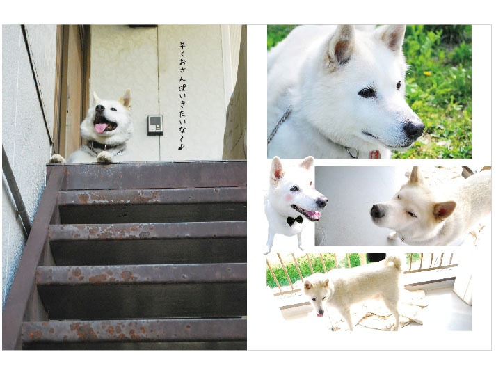 プロのデザイナーが写真集お作りいたします 自分の写真集を作りたいけどうまくまとめられない方にオススメ！ イメージ2