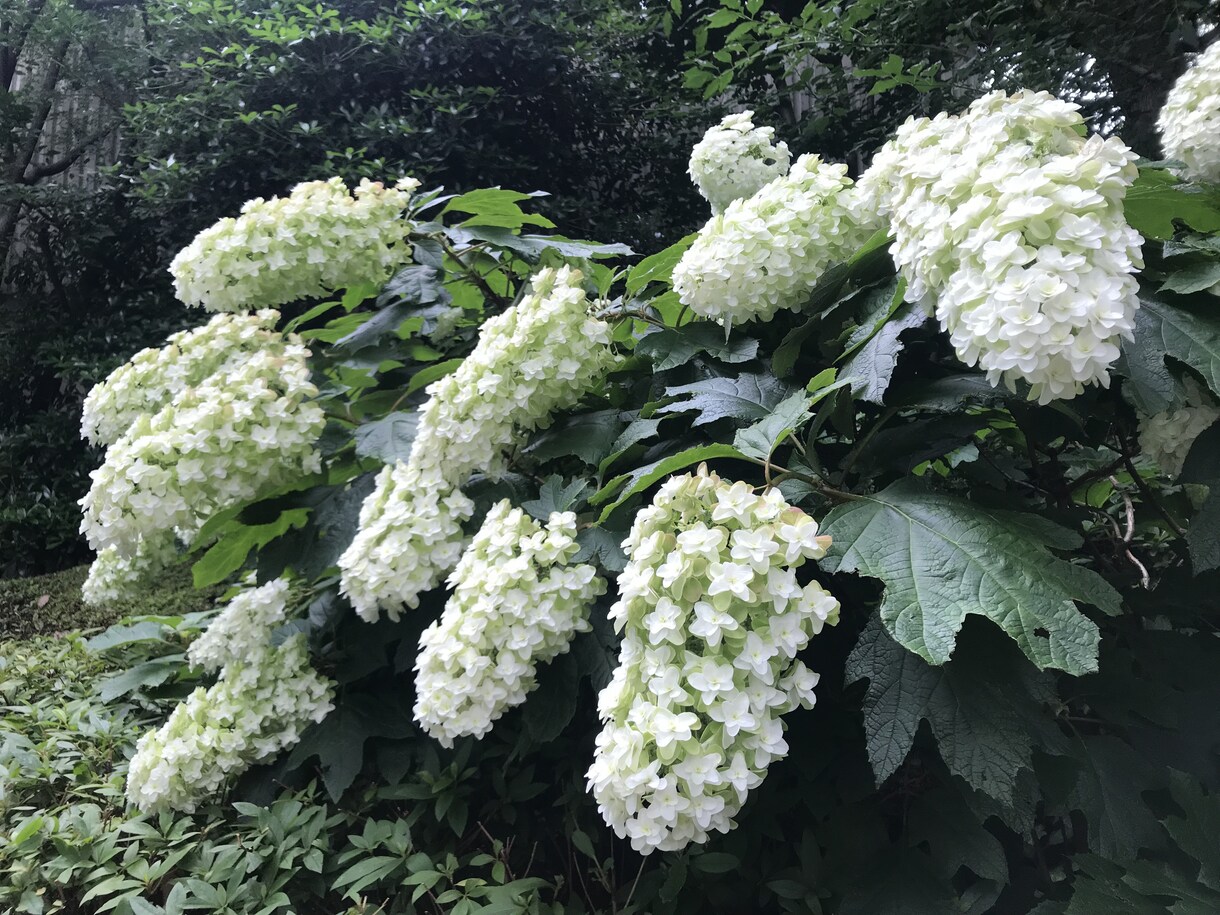 恋愛のお悩み占います より良い未来と関係のためにカードからあなたへのメッセージ♡ イメージ1