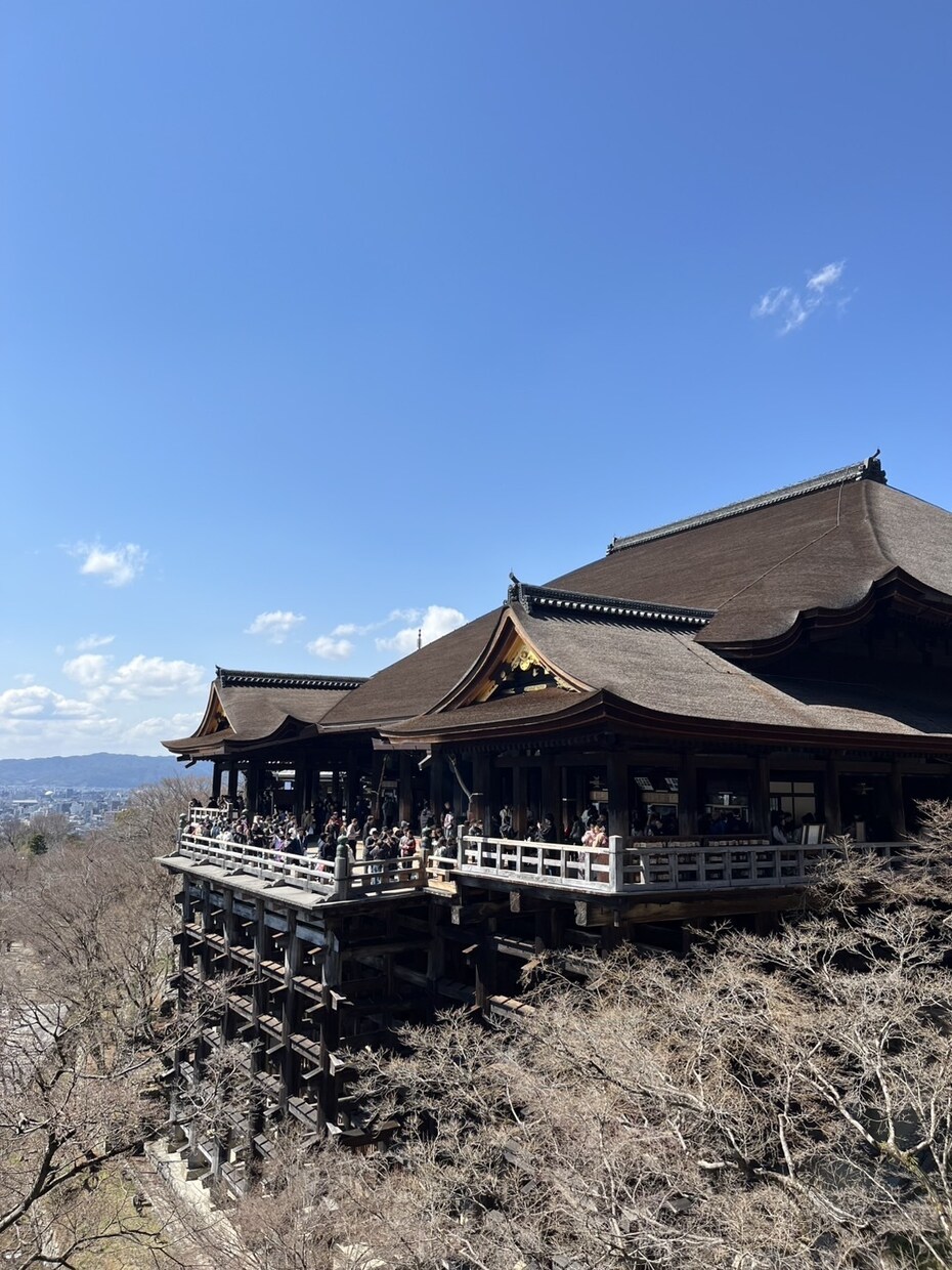 旅行で撮った写真を欲しい方に提供します 旅行の楽しさを共有！分かち合える楽しさをみんなで！ イメージ1