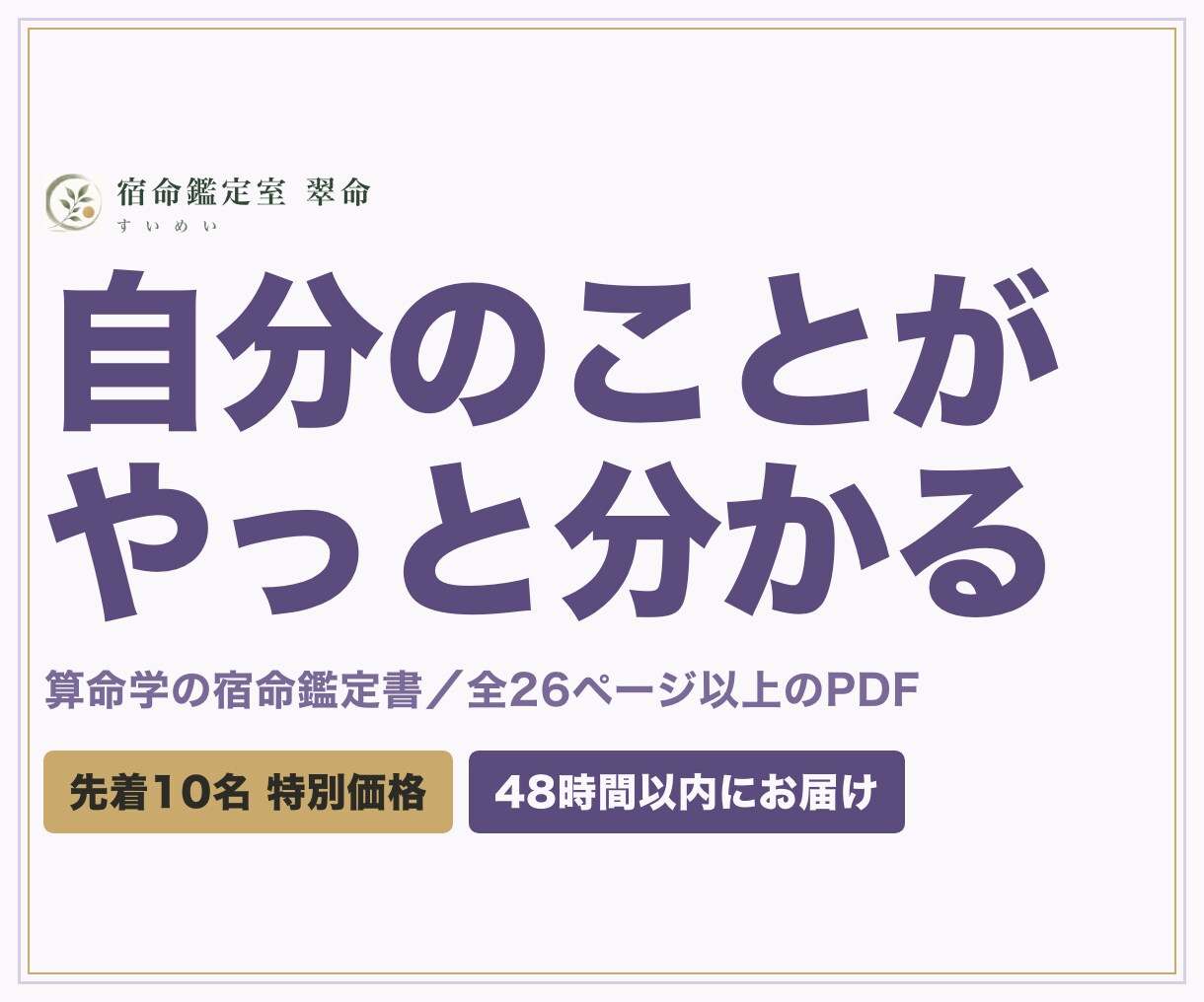 先着10名特別価格で算命学の宿命鑑定書を作ります 命式・天中殺・大運まで26ページ超。手元に残るPDF鑑定書 イメージ1