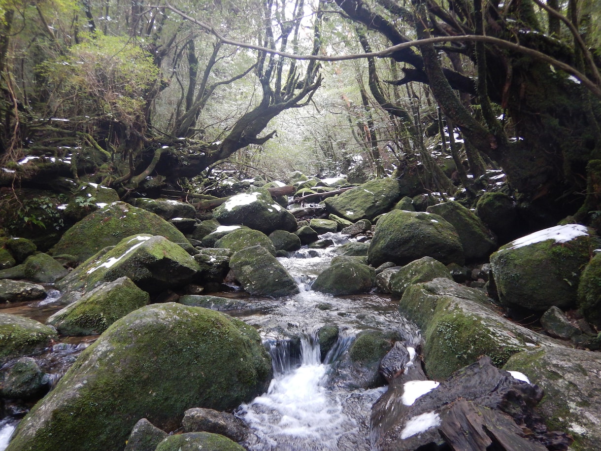 温泉・離島・断食！心身を癒す旅を提案します 有資格者＆離島・温泉好きが、あなたにぴったりの癒やし旅を伝授 イメージ2