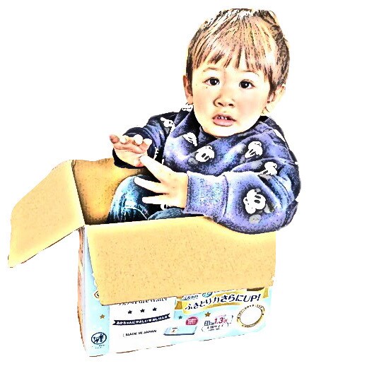 写真をイラスト風画像に加工します アイコンや素材として使用OK 2枚まで1000円 イメージ2