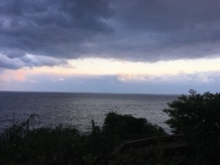 OSHO禅タロットからメッセージをお届けします 大切な自分のことをもっとよく知りたいと思いませんか？ イメージ5