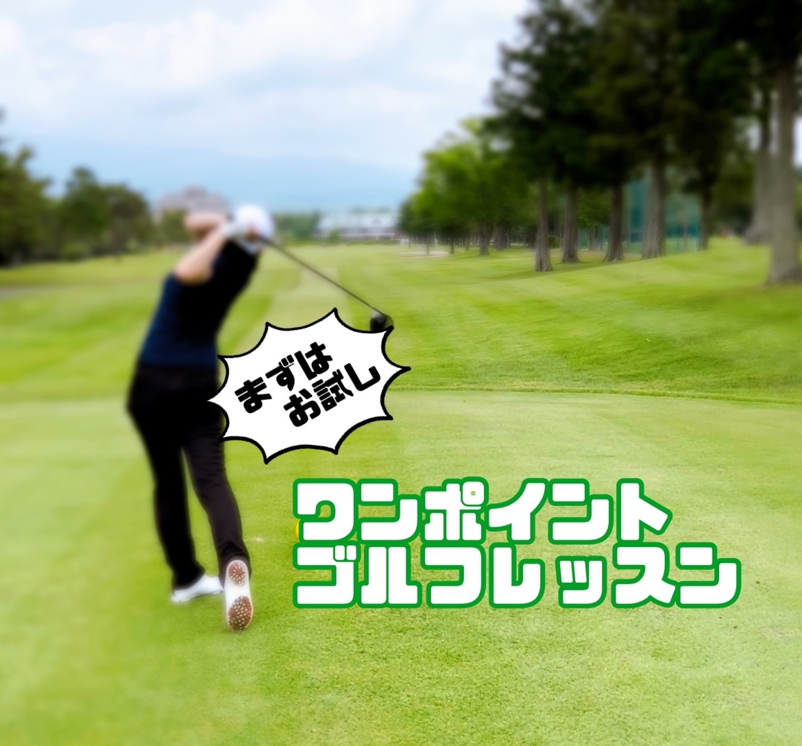 スイング動画でワンポイントゴルフレッスンします 【初回限定】まずはお試しレッスンを受けてみたい！という方へ イメージ1