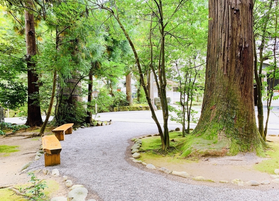 白山比咩神社についてなんでもお答えします 〜近隣観光、アクセス、美味しいお店、素敵なお宿など〜 イメージ2