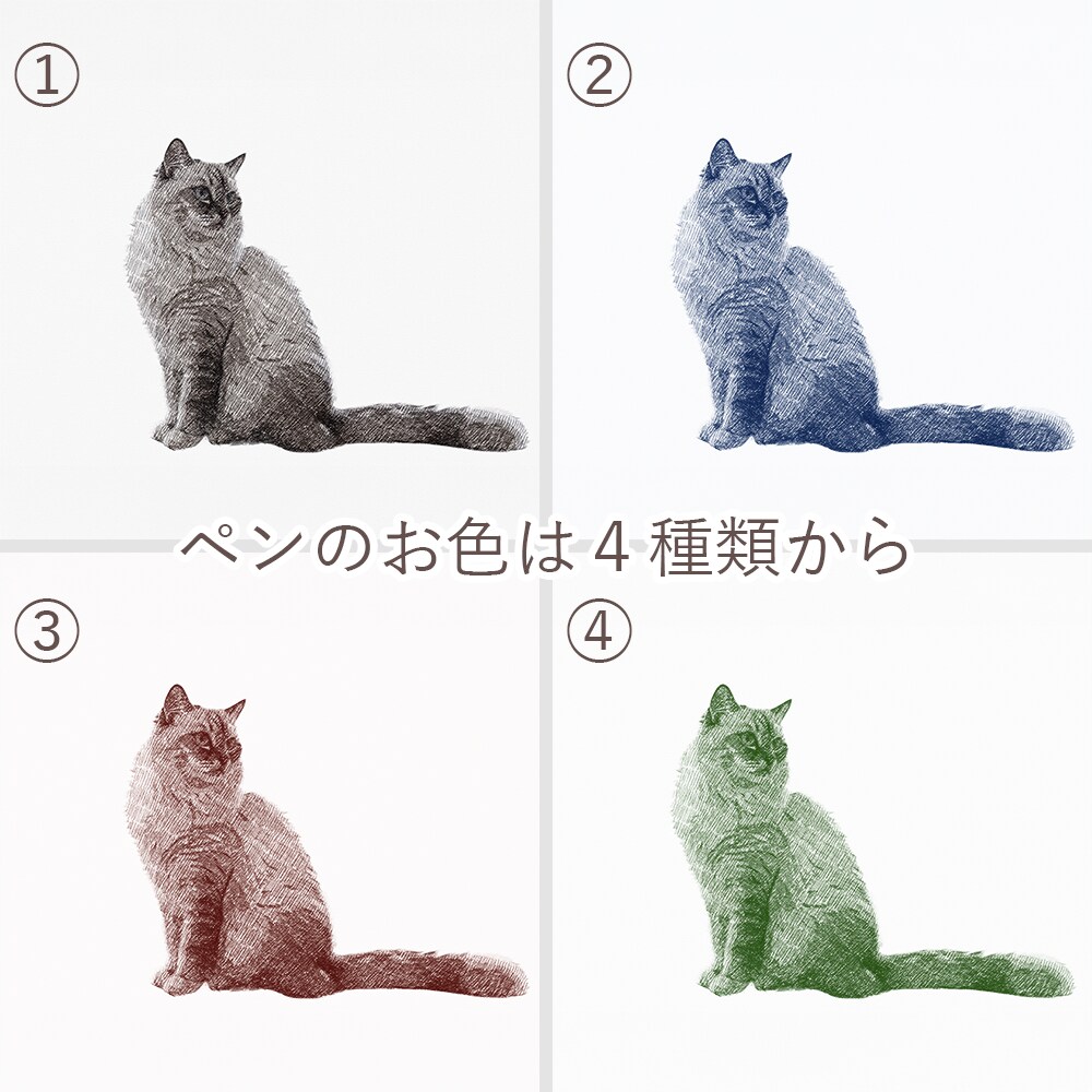 うちの子をシックな鉛筆画風のイラストにします インテリアにも馴染む、上質で大人なペットポートレート。 イメージ4