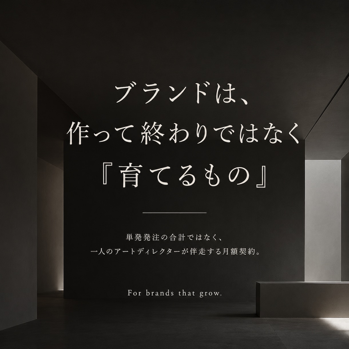 ブランド運用・SNS運用を月額で代行します 画像・動画・サイト・SNSを毎月ひとつの窓口で。1ヶ月から イメージ4