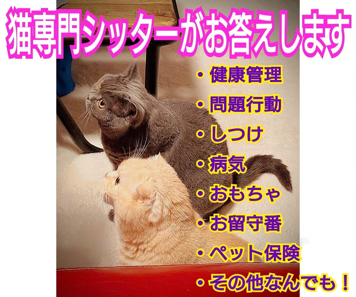 猫にまつわる疑問やお悩み、何でも相談に乗ります 【多頭歴40余年、経験豊富な猫シッターが親身に寄り添います】 イメージ1