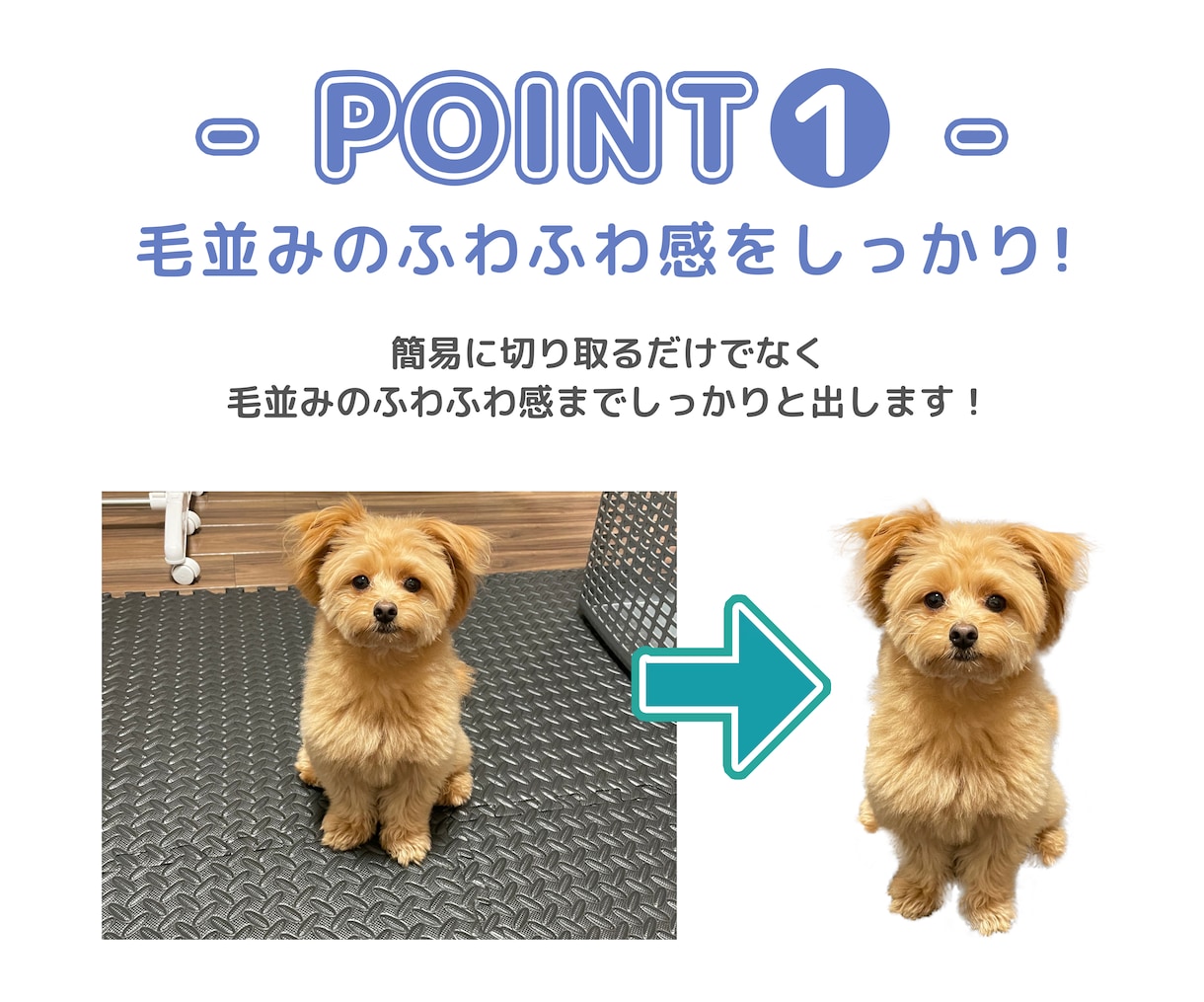 大好きな家族の写真をLINEスタンプにします 家族との思い出の一枚を日常の会話に入れませんか？ イメージ3
