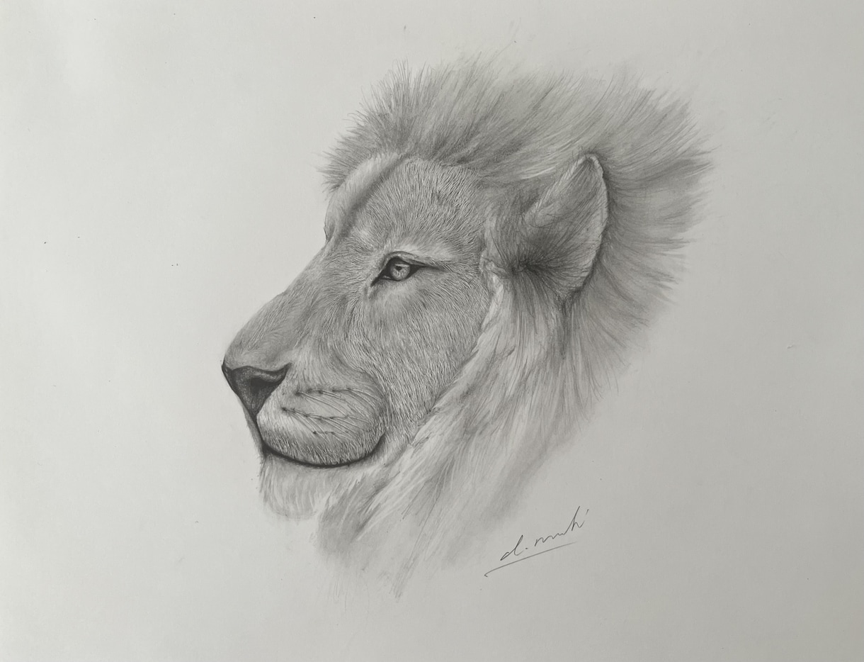 ペットの肖像画、承ります あなたの大切なペット、鉛筆画の温もりと共に丁寧に描きます✨ イメージ1