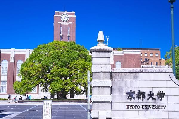 灘校卒京大薬学部卒が大学の課題のお手伝いします 灘校卒京大薬学部卒。薬学系科目得意です。 イメージ1
