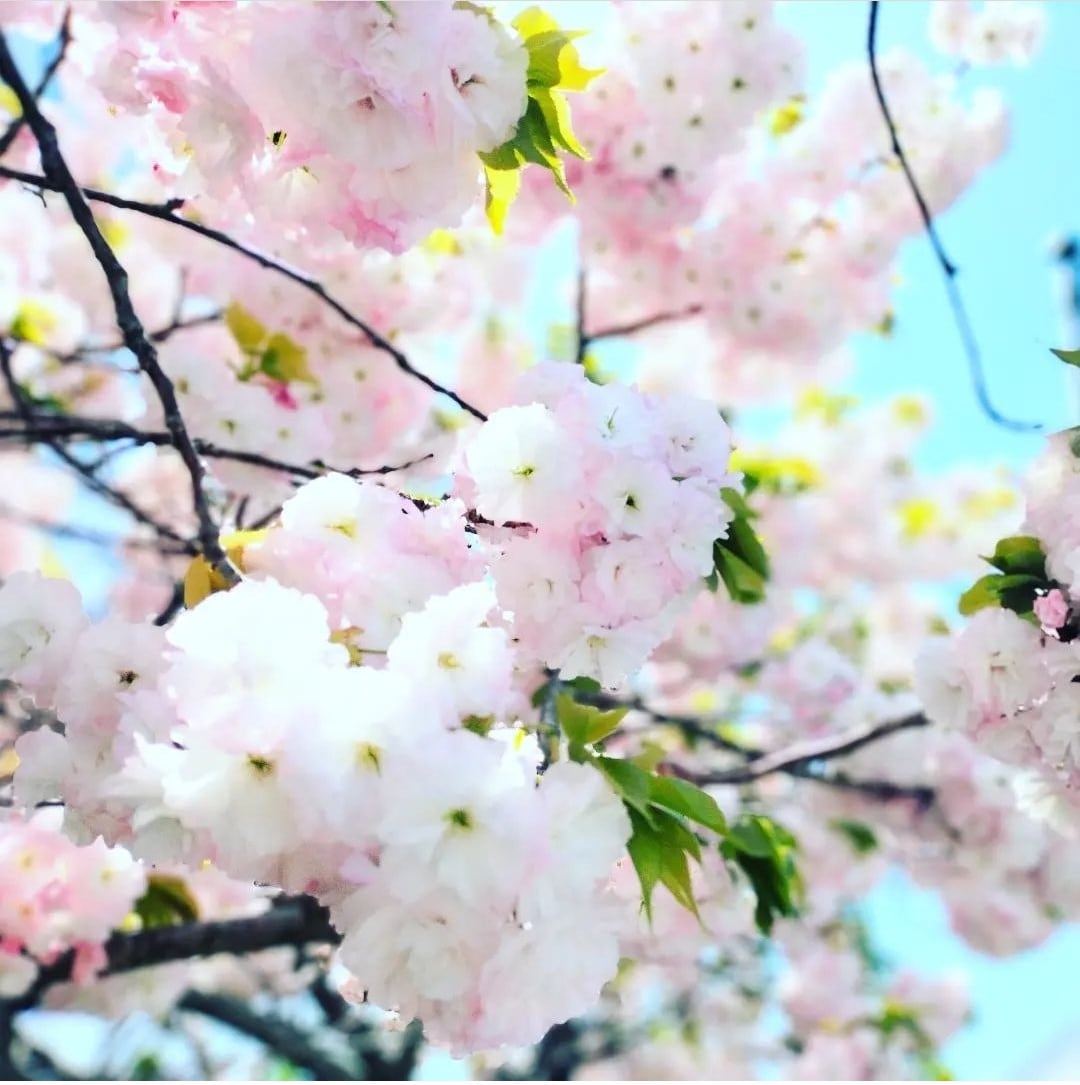 お悩みやこれからのことなど、気になることを占います 生年月日から、貴方の命運を導き出します イメージ1