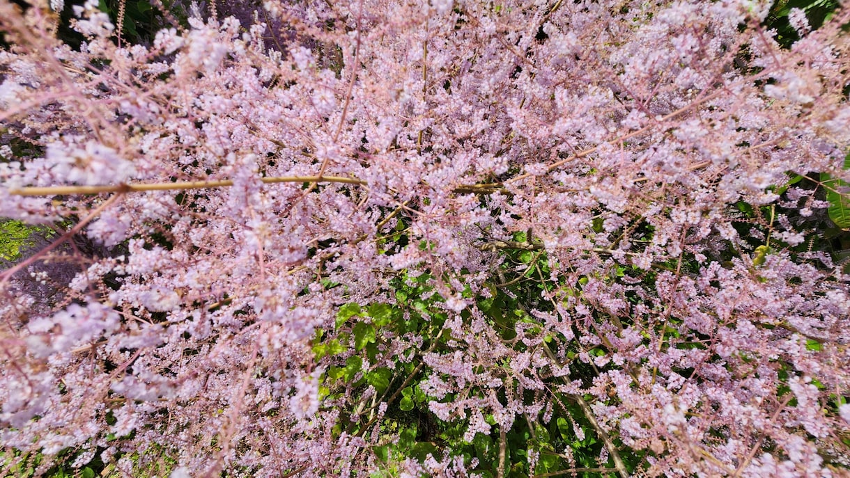 恋愛のお悩み専用!あなたの純粋な気持ち支えます あなたの悩み❤確り聴いて一緒に考え❤優しい未来を掴みましょう イメージ2