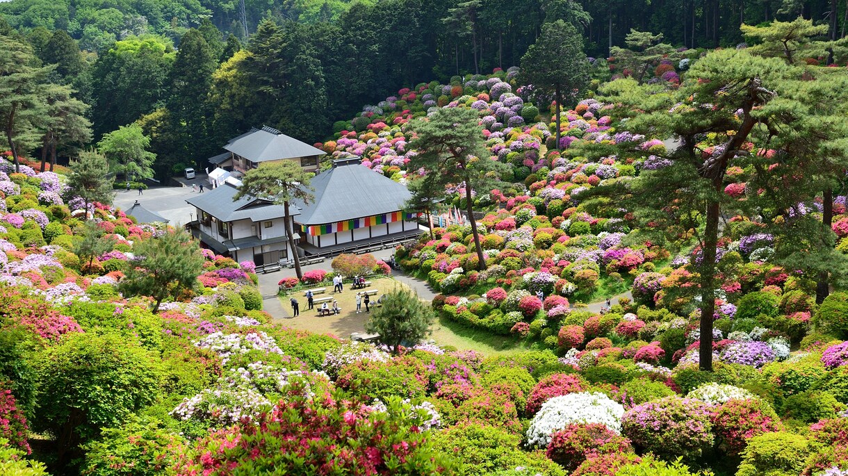 美しい写真を丁寧に撮影します 学生時代から写真が好きでプロに負けない美しい写真を撮影します イメージ1