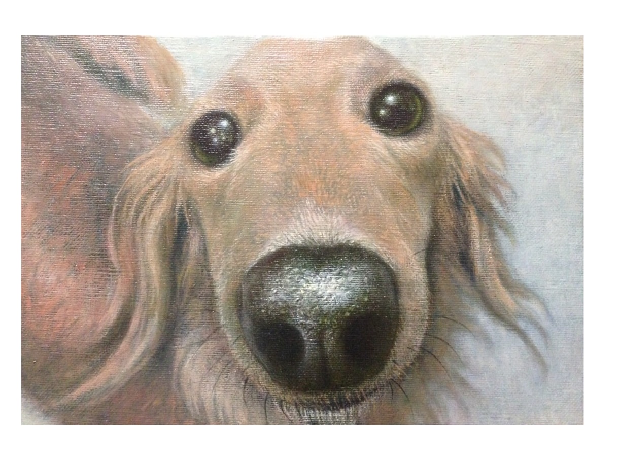 ペット肖像画描きます 油彩画でペットの思い出を美しく イメージ7