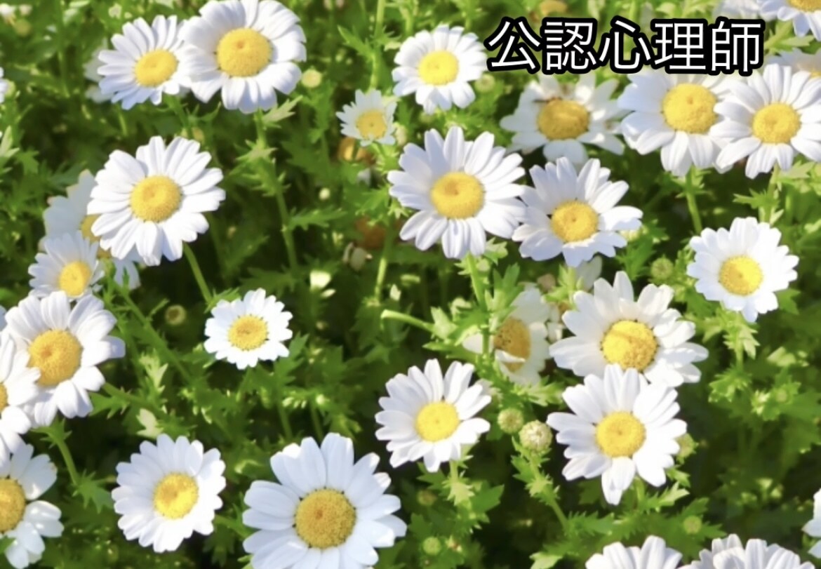 人とのやり取りが自然にラクになる方法を紹介します もう気をつかわない！人間関係のストレスが消えるシンプルなコツ イメージ1