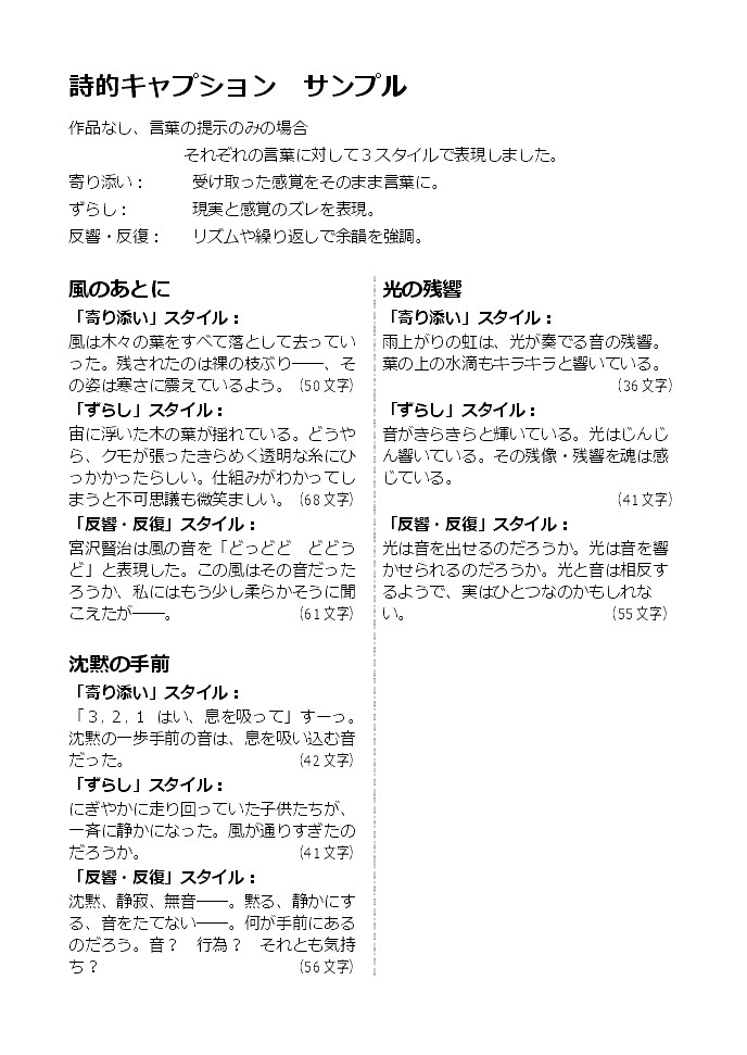 詩的キャプションもしくは紹介文を制作します 短詩的な凝縮美で、作品や空間に余白を添えるキャプション イメージ5