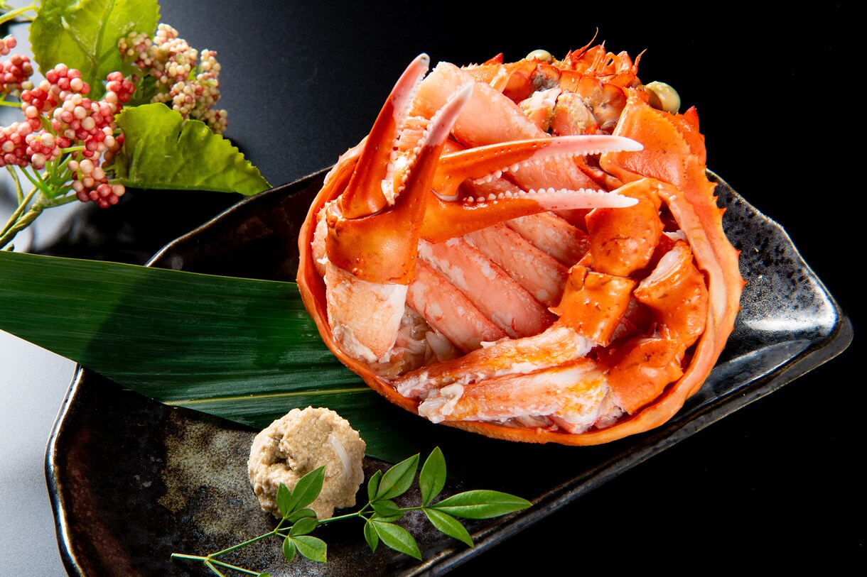 メニュー撮影 ４時間撮り放題！料理撮影いたします ＜飲食店様限定プラン＞東京・神奈川・埼玉・千葉・栃木・群馬 イメージ7