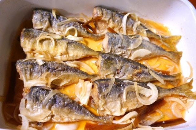 釣れる超簡単！アジゴ釣り入門教えます 初めてでも仕掛け作れ、釣り方まで詳しく解説してます！ イメージ10