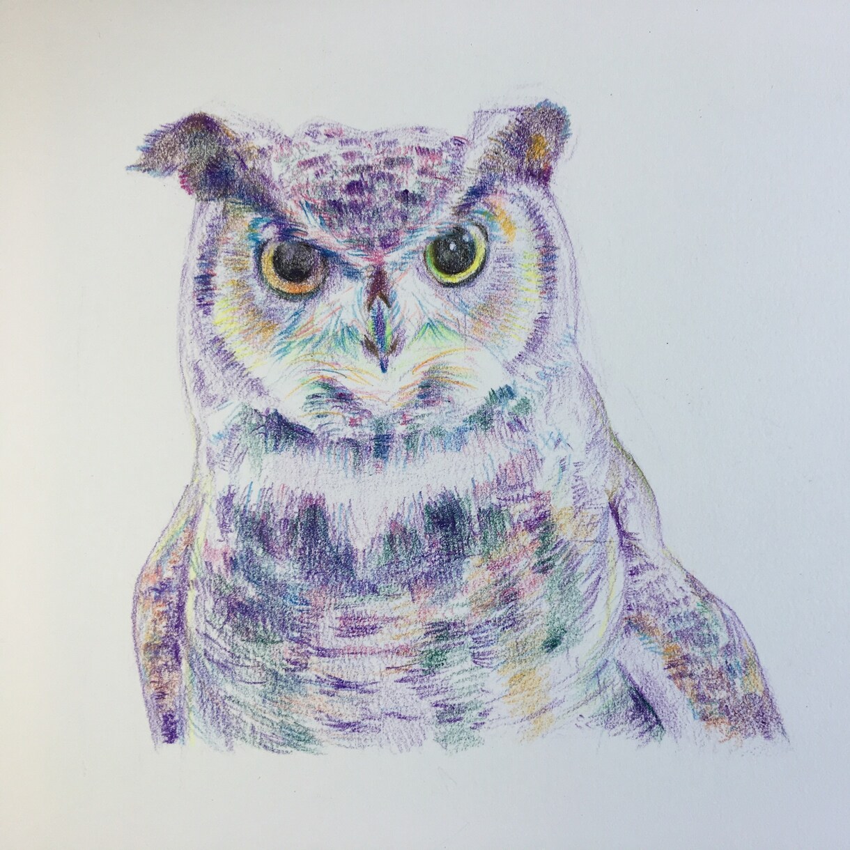 あなたの大切な人、ペットを絵画にします 色鉛筆画　B5サイズです。心を込めて制作致します。 イメージ2