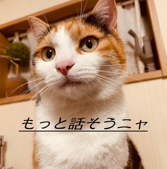 1日じっくりお話し聴きます 一人で抱えないで、その荷物を半分分けて下さい。 イメージ1